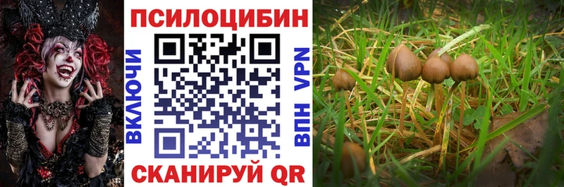 Псилоцибиновые грибы мухоморы  ОМГ ОМГ зеркало  Тюкалинск 